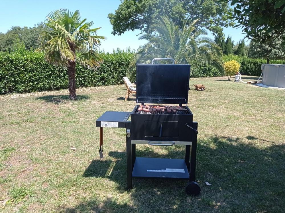 Valdiveltrica Villa Mondavio Ngoại thất bức ảnh
